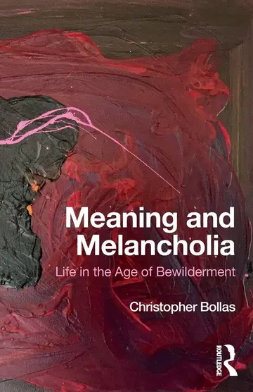 Cover of Meaning and Melancholia