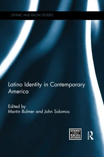 Cover of Latino Identity in Contemporary America