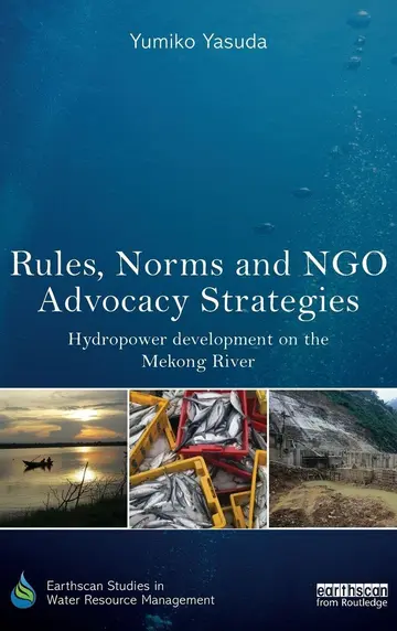 Cover of Rules, Norms and NGO Advocacy Strategies