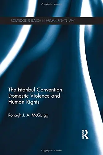 Cover of The Istanbul Convention, Domestic Violence and Human Rights