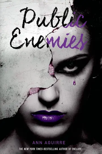 Cover of Public Enemies