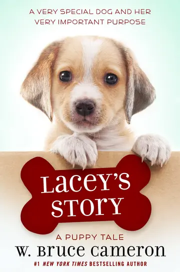 Cover of Lacey's Story