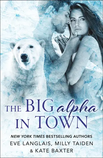 Cover of Big Alpha in Town