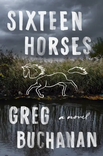 Cover of Sixteen Horses