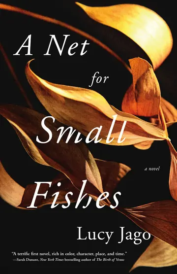 Cover of A Net for Small Fishes