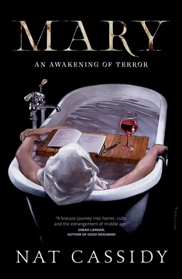 Cover of Mary an Awakening of Terror