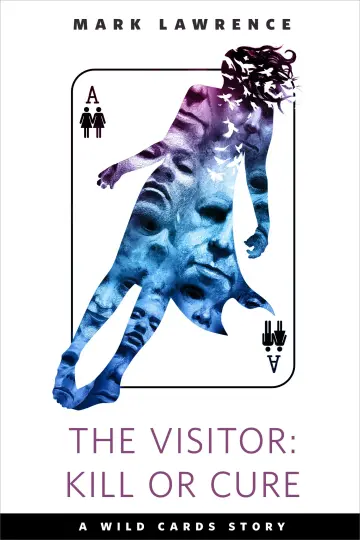 Cover of The Visitor