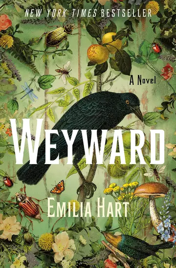 Cover of Weyward