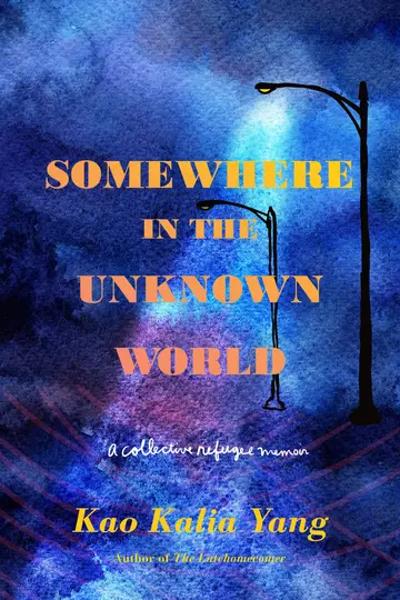 Cover of Somewhere in the Unknown World