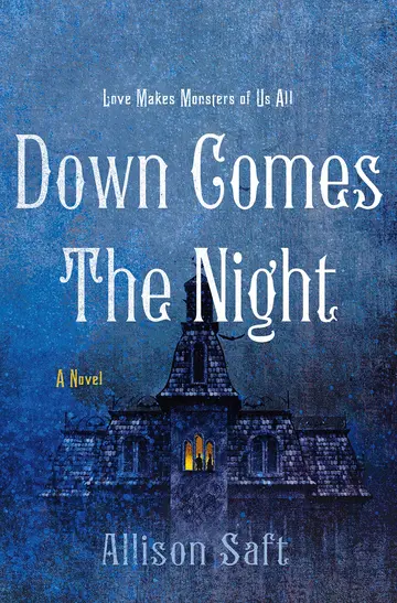 Cover of Down Comes the Night