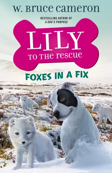 Cover of Lily to the Rescue
