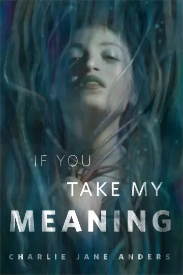Cover of If You Take My Meaning