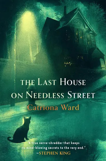 Cover of Last House on Needless Street