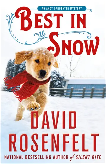 Cover of Best in Snow