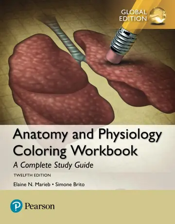 Cover of Anatomy and Physiology Coloring Workbook