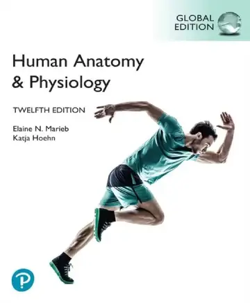 Cover of Human Anatomy & Physiology