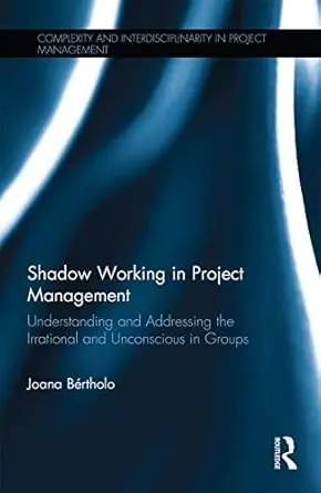 Cover of Shadow Working in Project Management