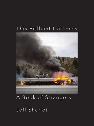 Cover of This Brilliant Darkness