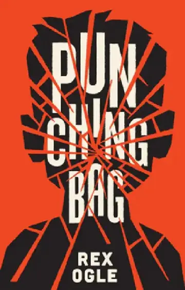 Cover of Punching Bag