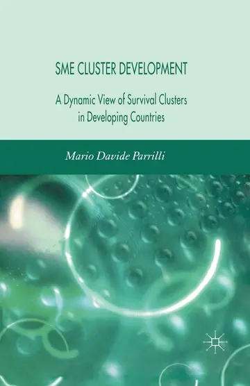 Cover of SME Cluster Development
