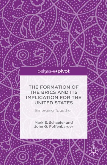 Cover of The Formation of the BRICS and its Implication for the United States