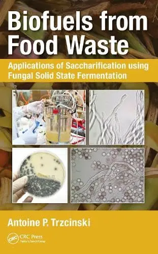 Cover of Biofuels from Food Waste