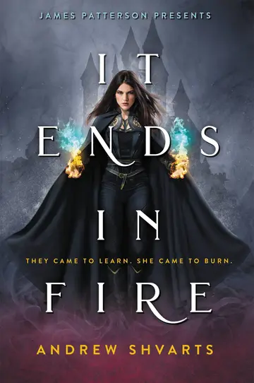 Cover of It Ends in Fire