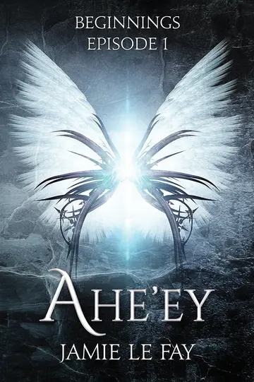 Cover of Beginnings
