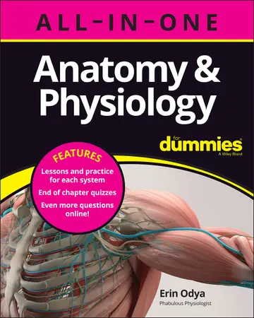 Cover of Anatomy & Physiology All-in-One for Dummies