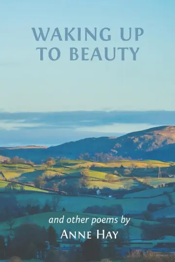 Cover of Waking up to Beauty