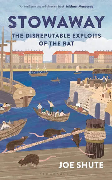 Cover of Stowaway