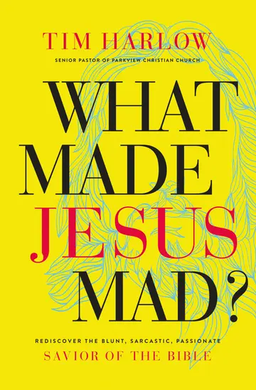 Cover of What Made Jesus Mad?