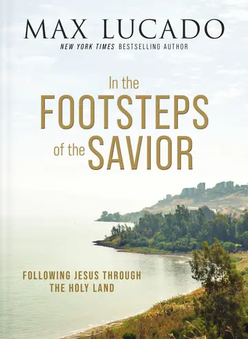 Cover of In the Footsteps of the Savior