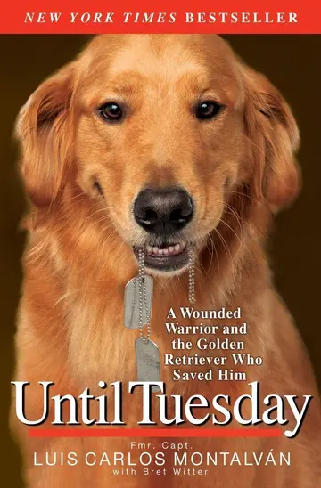 Cover of Until Tuesday