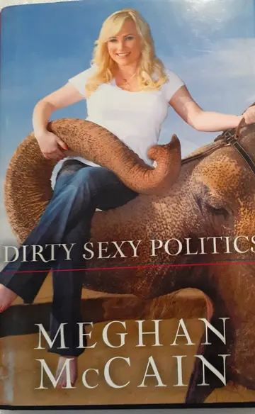 Cover of Dirty Sexy Politics