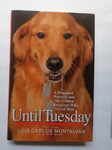 Cover of Until Tuesday