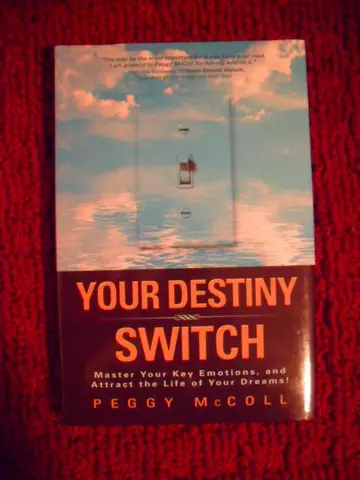 Cover of Your Destiny Switch