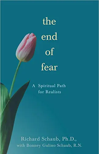 Cover of The End of Fear
