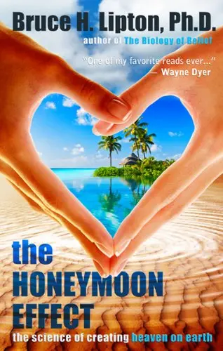 Cover of The Honeymoon Effect