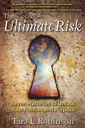 Cover of The Ultimate Risk