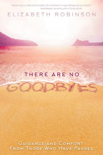Cover of There Are No Goodbyes