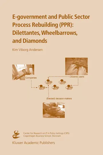 Cover of E-government and Public Sector Process Rebuilding