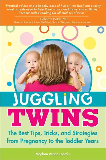 Cover of Juggling Twins