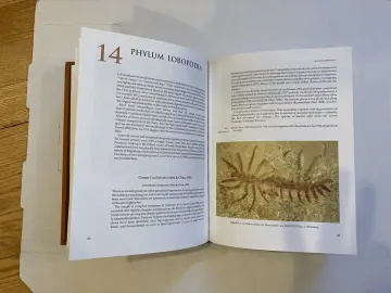 Cover of The Cambrian Fossils of Chengjiang, China