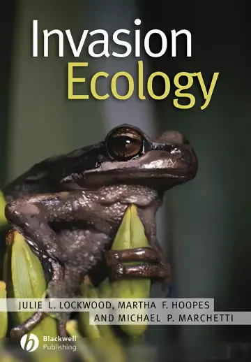 Cover of English Algorithmic Grammar