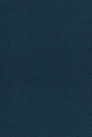 Cover of Esther Through the Centuries