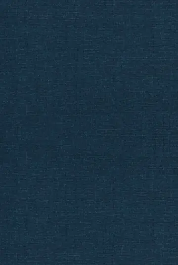Cover of The Good Representative