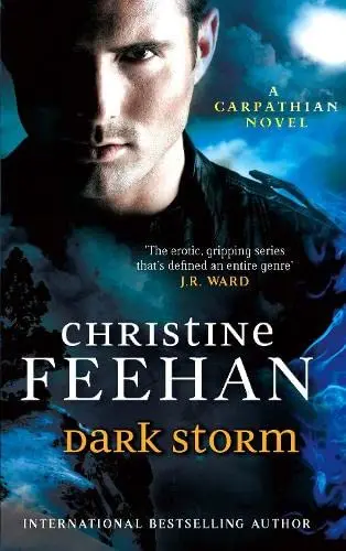 Cover of Dark Storm