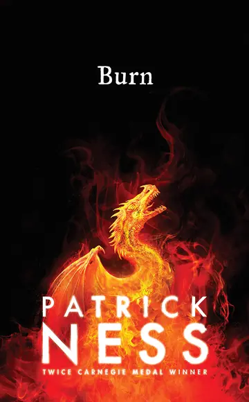 Cover of Burn