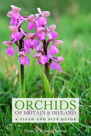 Cover of Orchids of Britain and Ireland